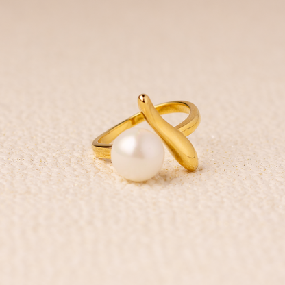 ANILLO  ENCUENTRO