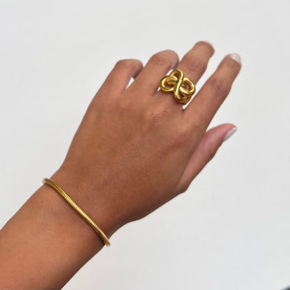 ANILLO INFINITO